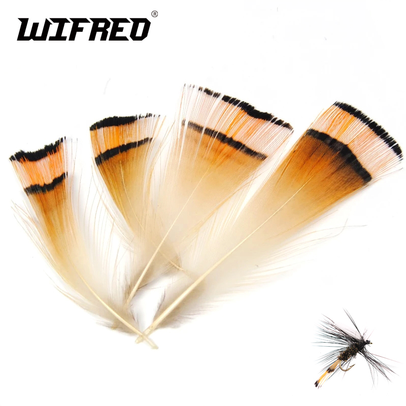 Fishing Equipment Brands - 50PCS Natural Warna Emas Burung Kepala