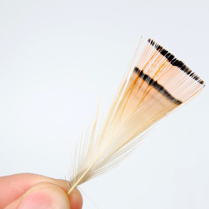 50PCS Natural Warna Emas Burun - Fishing Equipment Brands ulasan dan harga